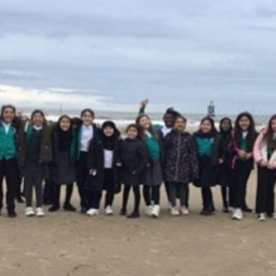 OCTbeach1)